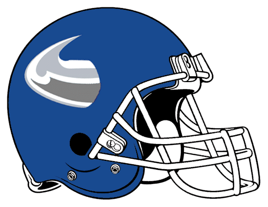 Buffalo Bulls 2001-2005 Helmet Logo DIY iron on transfer (heat transfer)